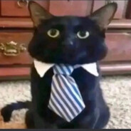 мегасуперхуй3000