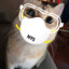 柒柒wink