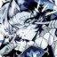 NeoNyx