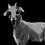 GHOAST