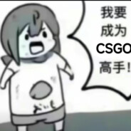 我要成为CSGO高高手