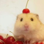 超级无敌大帅656