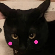 她说我像蓝莓水母