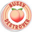 bussy destroyer 69