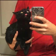 乌鸢.（dark kite）