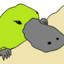 Keylime Platypus