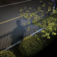 结扎以后遇到爱