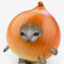 Poor Onion