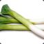 Leek