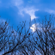 喊破甲是我破甲你上nm呢