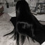 aweless