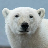PolarBear I Géza fejedelem I's avatar