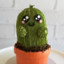 CactusKipic