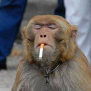 peralnia - steam id 76561198364672898