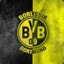 bvbfan102