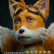 ElCompanion
