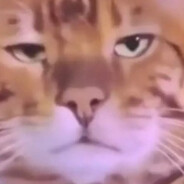 my mind is very good today