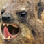 LordHyrax