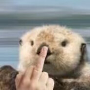 暴躁且66的小羊