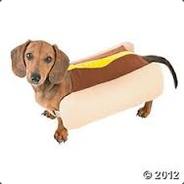 hotdoghelper