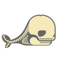WhaleBone