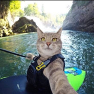 小朋友要玩游戏