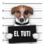 El Tuti