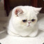 ujie