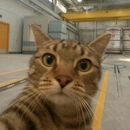 魔法壮汉小樱No.2