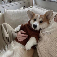 再怀疑就不礼貌了