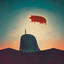 PorkyPig354