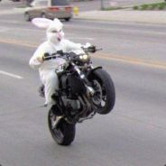 ^9{^1K6^9}_^1Toni Tibbs