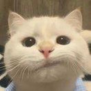 【Black】❧路酒