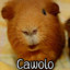 Cawolo
