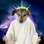 The_Holy_Doge