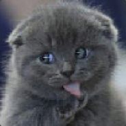 Dziki Pasterz Bandyta