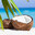 coconut