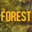 The-Forest.pl