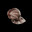 Qwabsile's Avatar