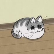 黑猫兔子重度依赖