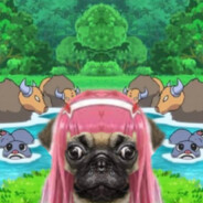 Pugmoonkey