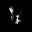despise