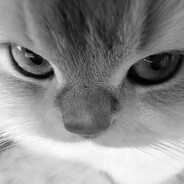 не надейся - steam id 76561199832774919