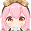 kokot