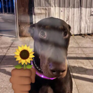 qq乃乃好喝到咩噗茶