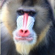 一百来只大马猴