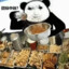 王守拙