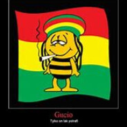 GUCIOGUCIASTY