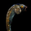 slug mouth breather