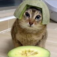 жопа корысть